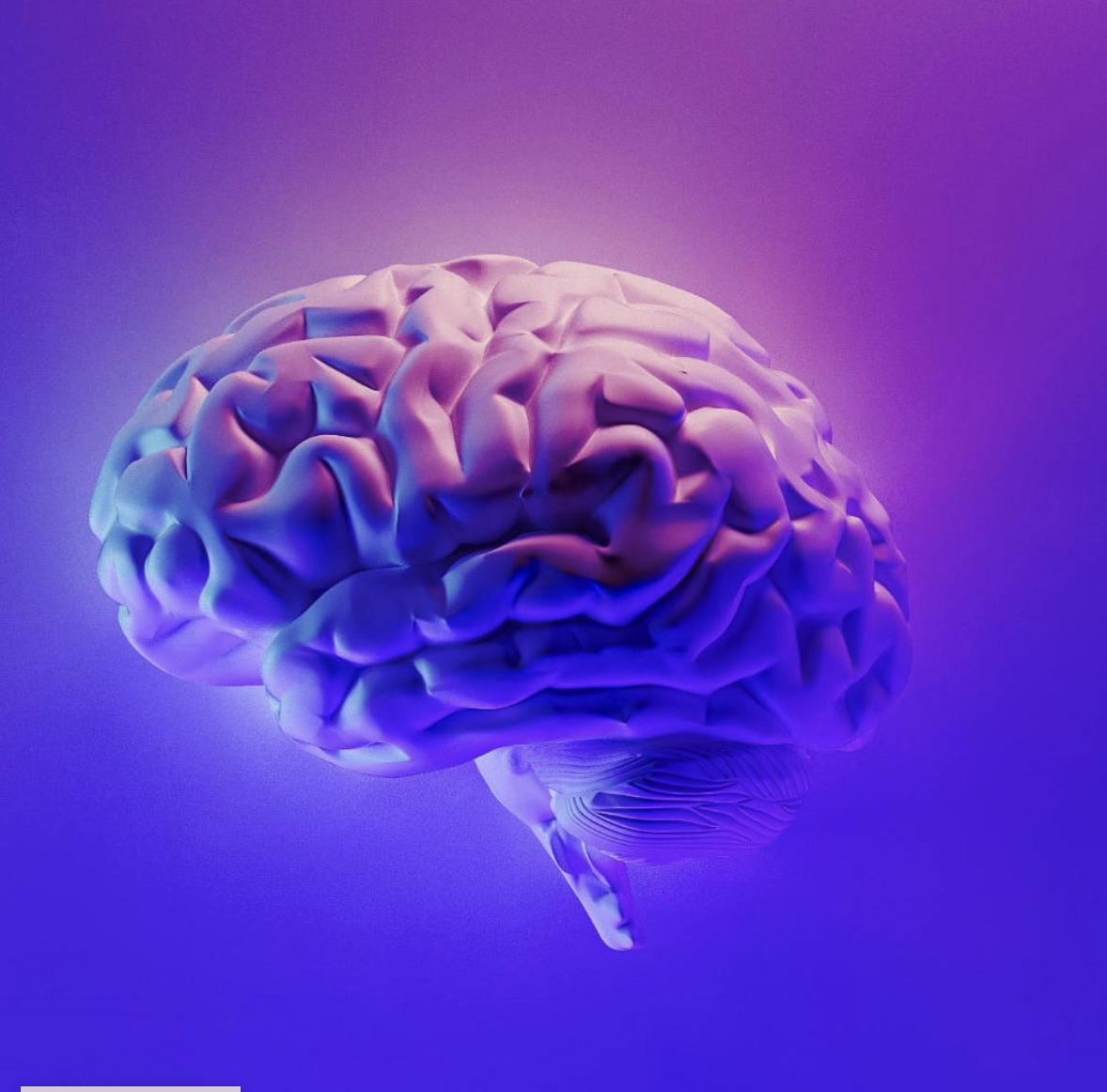 Neurology services icon